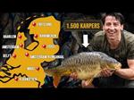 Mega karper uitzet in het midden van Nederland